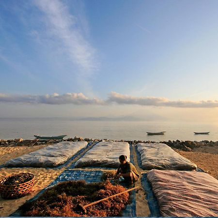 Pondok Jenggala Lembongan Zewnętrze zdjęcie